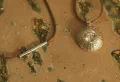 Silver Sea Urchin Necklace