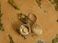 Fine Silver Cockle Shell Earrings