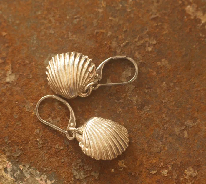 Fine Silver Cockle Shell Earrings