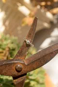 Silver Band With Grade AA Moissanite