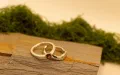 Floating Garnet Ring