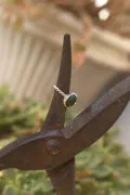 Laguna Dream Opal Ring