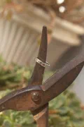 Petite Costa Ruby Ring