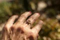 Modern Sol Citrine Ring