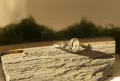 ring, silver, moonstone