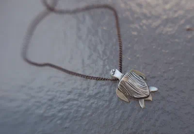 cute turtle