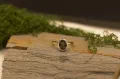 Andalusian Gold Band