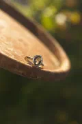 Andalusian Gold Band