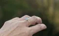 The Champagne Tuesday Ring